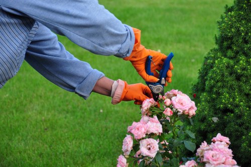 Investigator assessing a garden bed on site