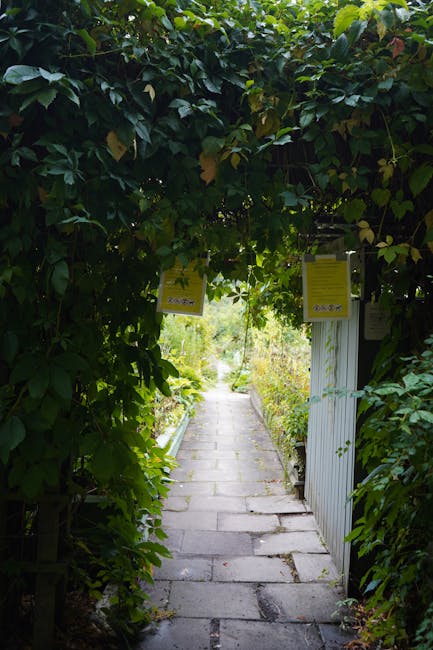 A narrow garden pathway paved with rectangular stone slabs, leading through a lush, green archway formed by dense foliage and climbing plants with dark green, glossy leaves. The path is flanked by wel